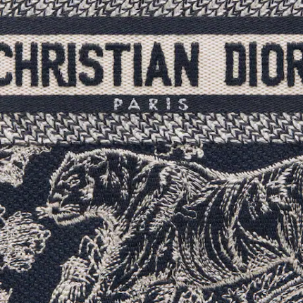 MINI DIOR BOOK TOTE PHONE BAG Blue Toile de (13 x 18 x 5 cm).