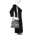 CHRISTIAN DIOR Toile   Lady D-Lite Blue. - Image 4