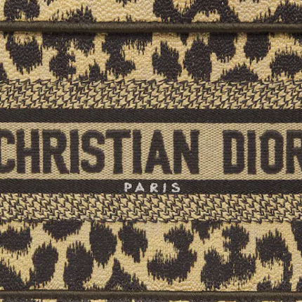 MINI DIOR BOOK TOTE (22,5 x 15 x 6 cm).