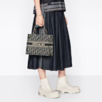 SMALL DIOR BOOK TOTE Blue Toile de.