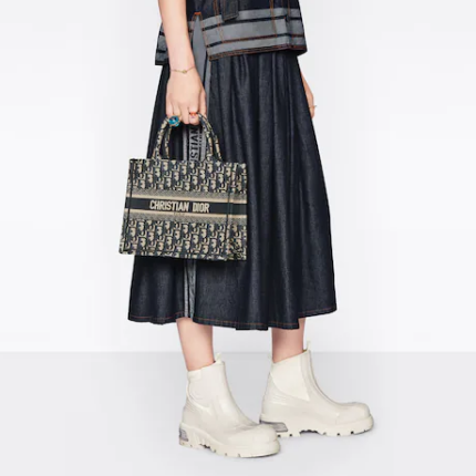 SMALL DIOR BOOK TOTE Blue Toile de.