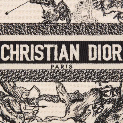 SMALL DIOR BOOK TOTE Latte Toile de (26.5 x 21 x 14 cm).