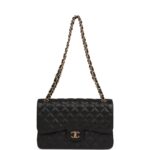Double Flap Bag Black Hardware.