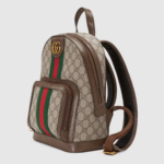 small backpack. - Image 6